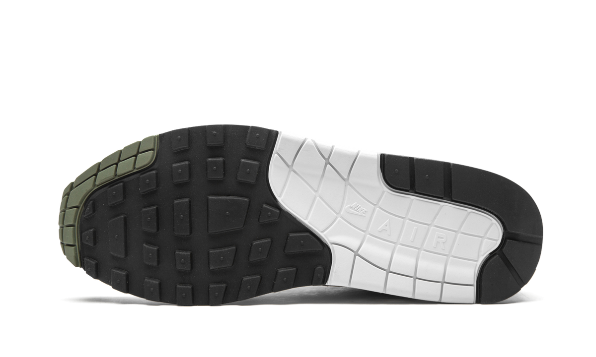 Air Max 1 "Spiral Sage" DB5074 100